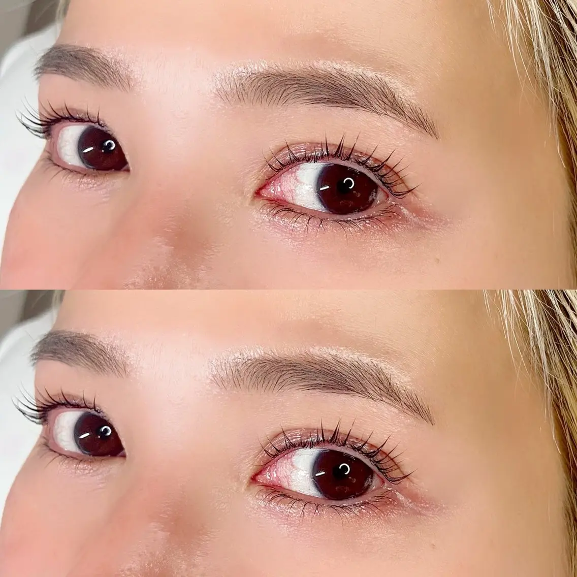 【美眉Wax +選べるまつげ💝LEDフラットラッシュ(オフ込100本.オフ無120本)orマツパ】の写真