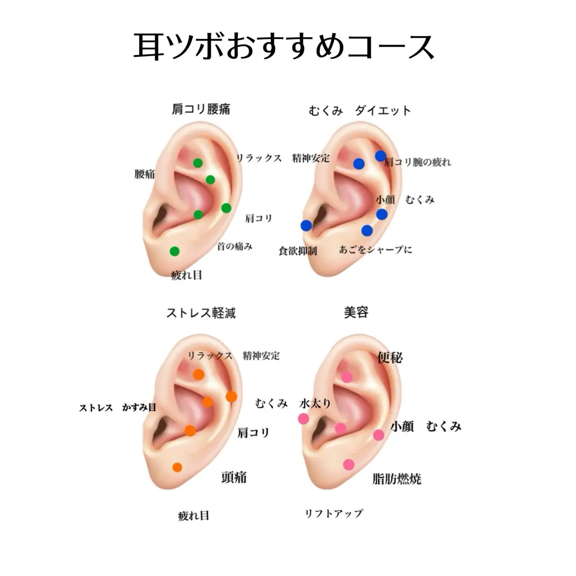 その他 カットモデル 募集🪄🫧まどかのヘアスタイル