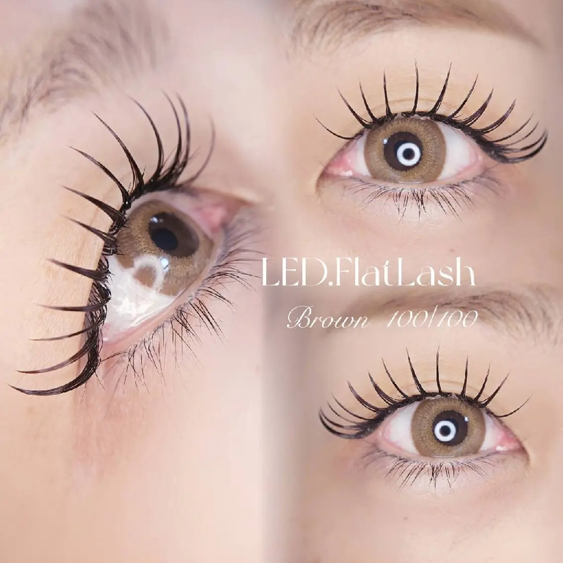 マツエク・マツパ 付け放題 フラットラッシュ Cia U. eyelashのマツエク・マツパデザイン