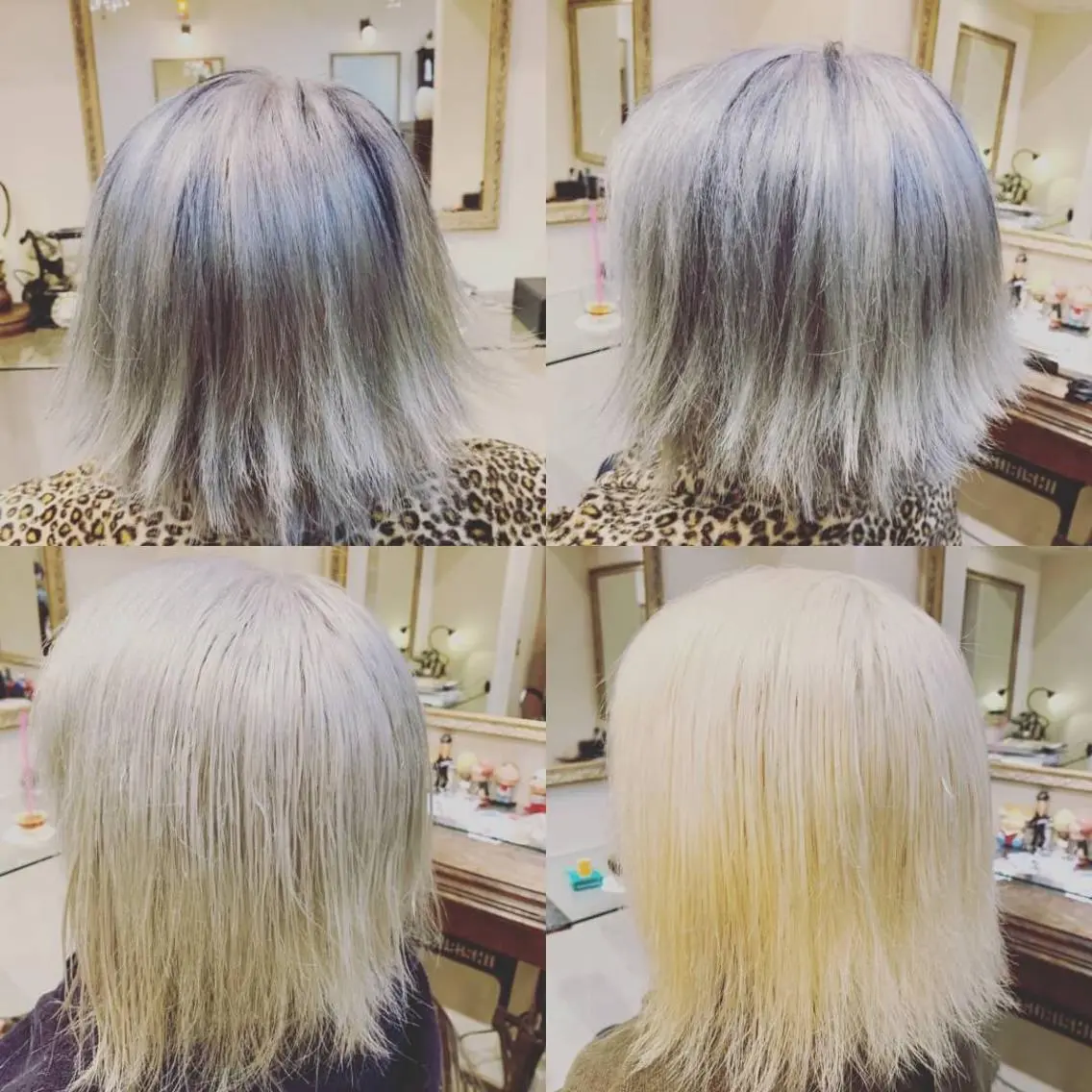 ショート カラー メンズ 佐藤 俊夫のヘアスタイル