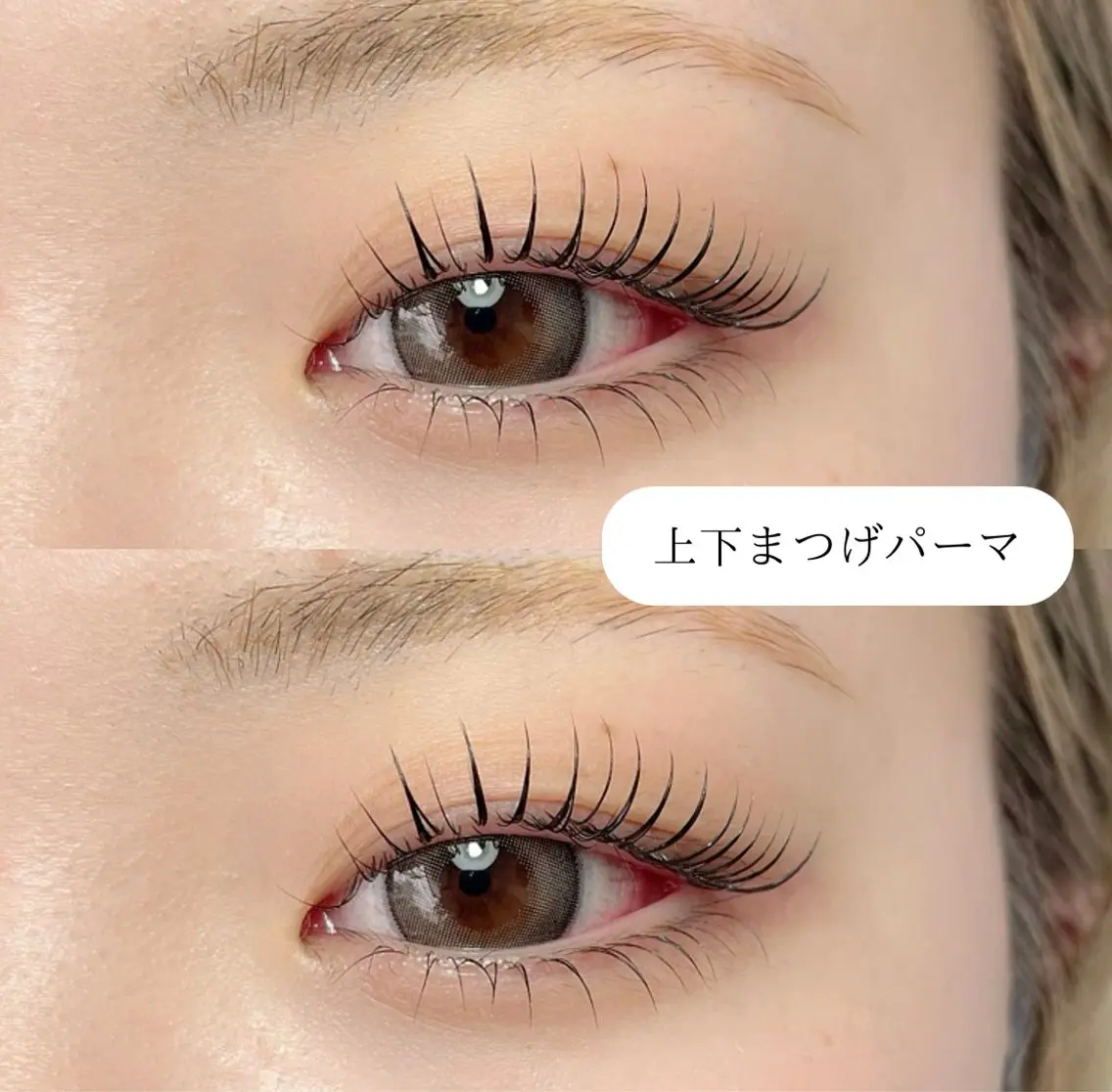 マツエク・マツパ まつげパーマ 下まつげエクステ 高橋 ゆずきの眉毛・アイブロウイメージ