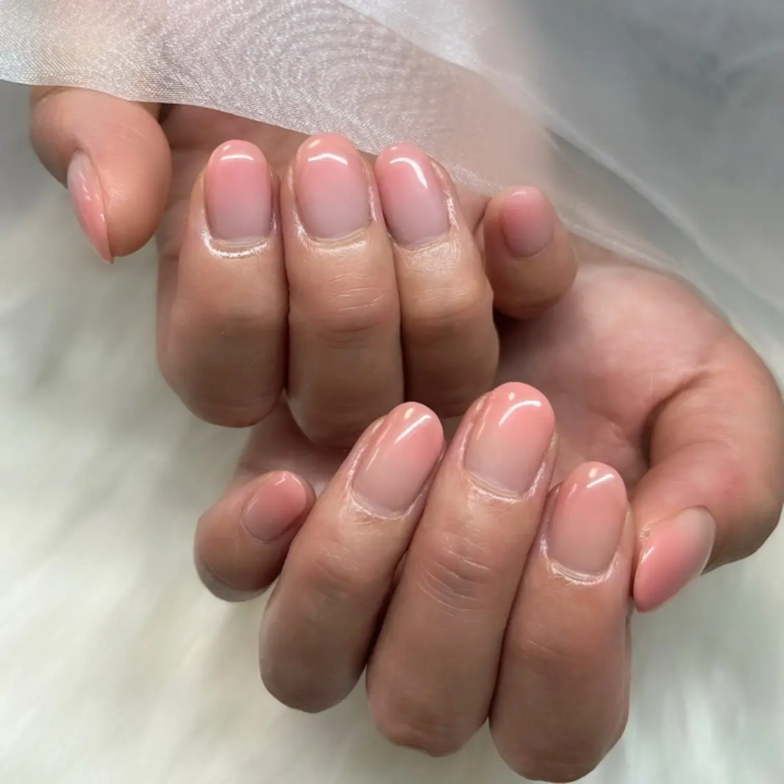【オフなし】グラデーション(ベースクリア)の写真
