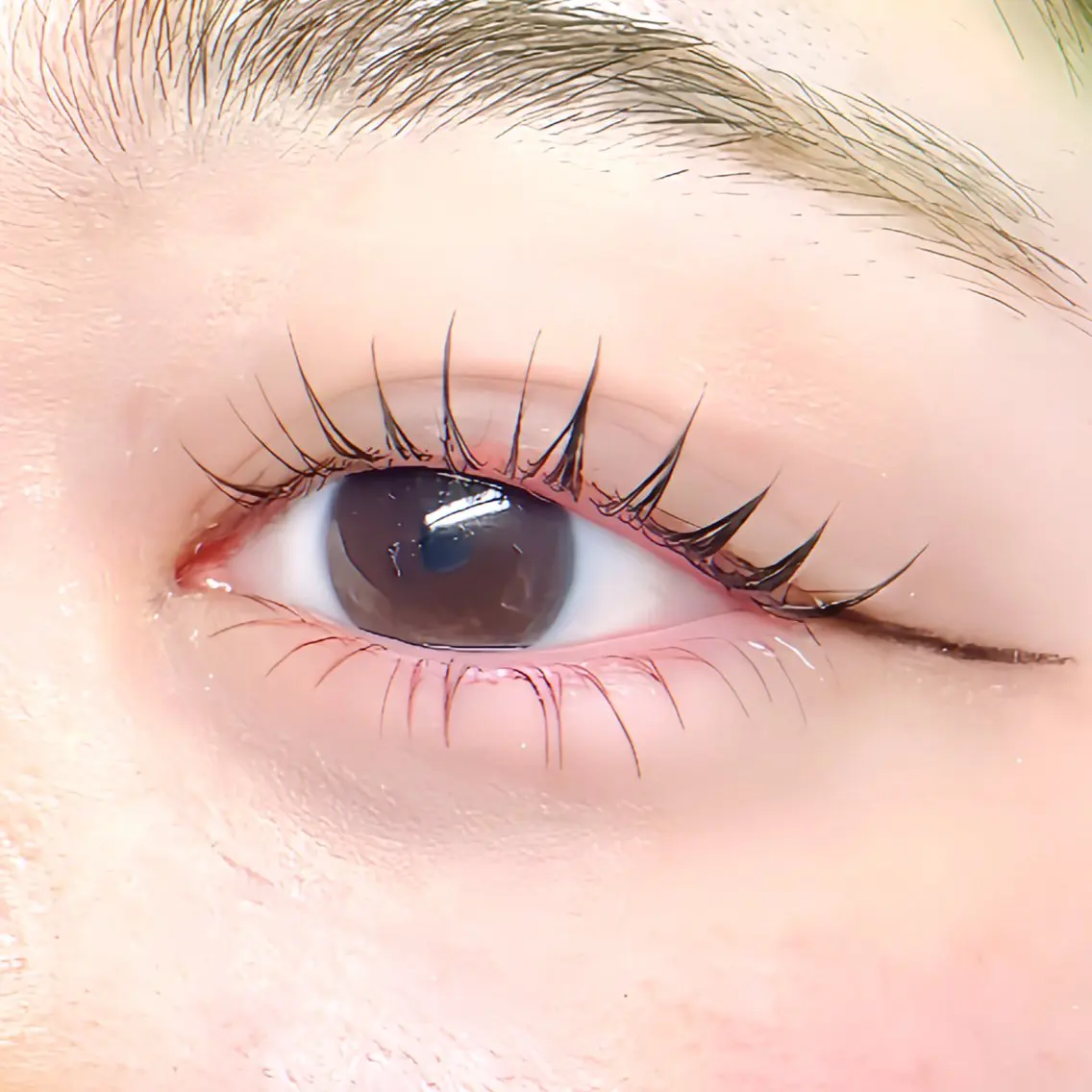 中顔面短縮👀🎀【下まつげパーマ】🫧逆睫毛さんにオススメの写真