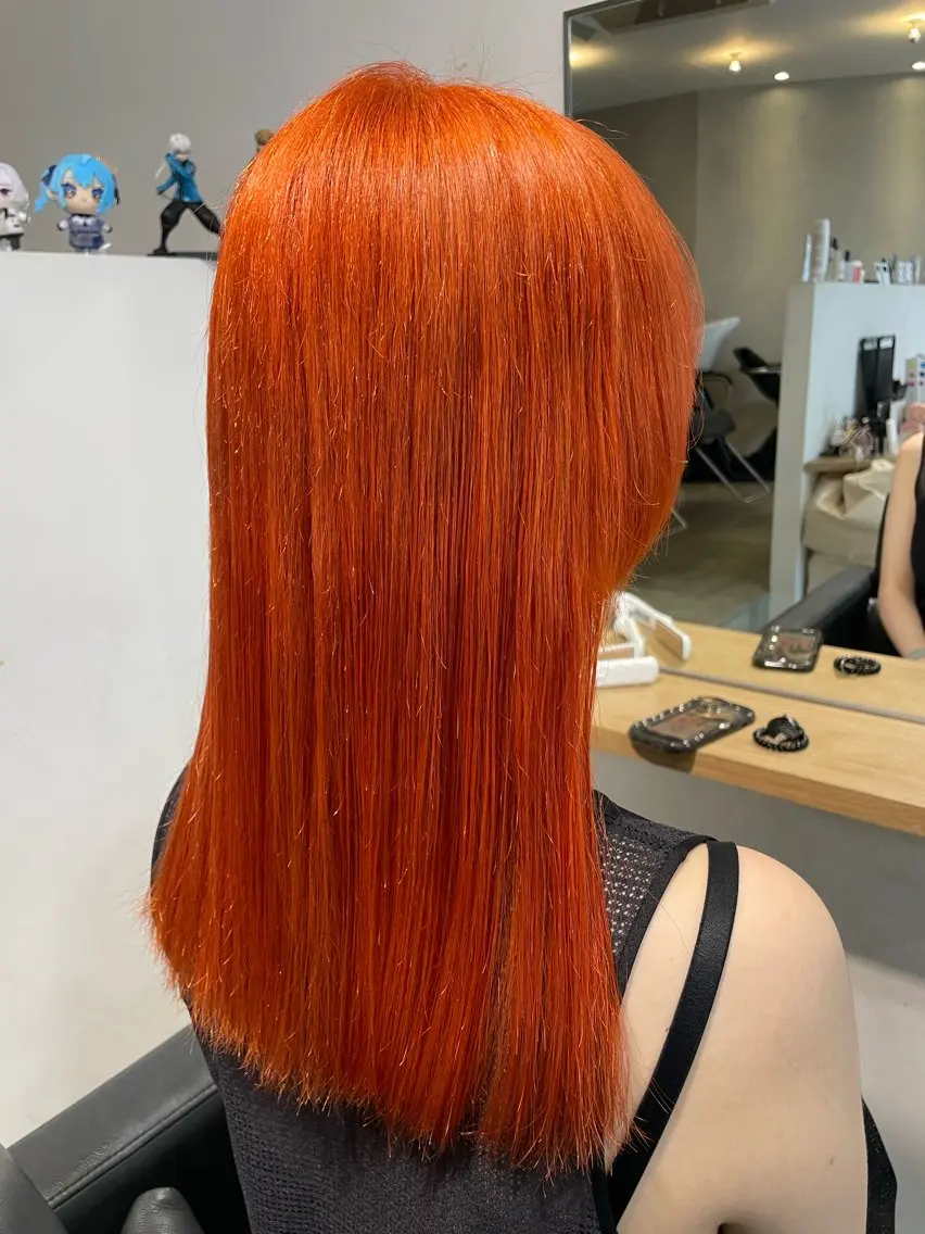 ロング カラー ヘアカラー トリートメント インナーカラー 推し ブリーチ 髪質改善のヘアスタイル