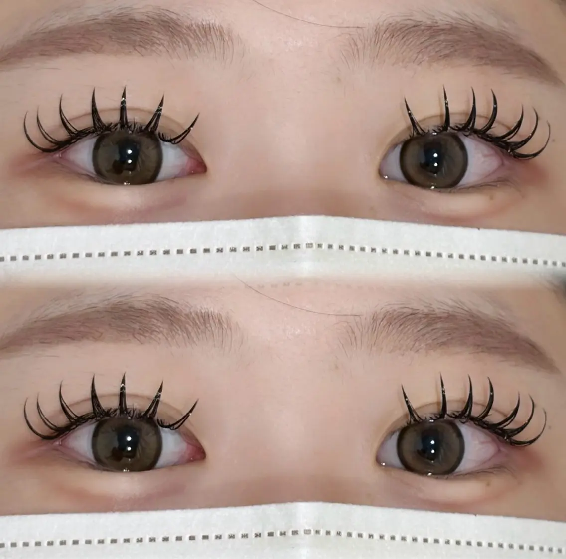 本日限定🎀【オフ別途】ダブルフラットラッシュ80束✧︎*。の写真