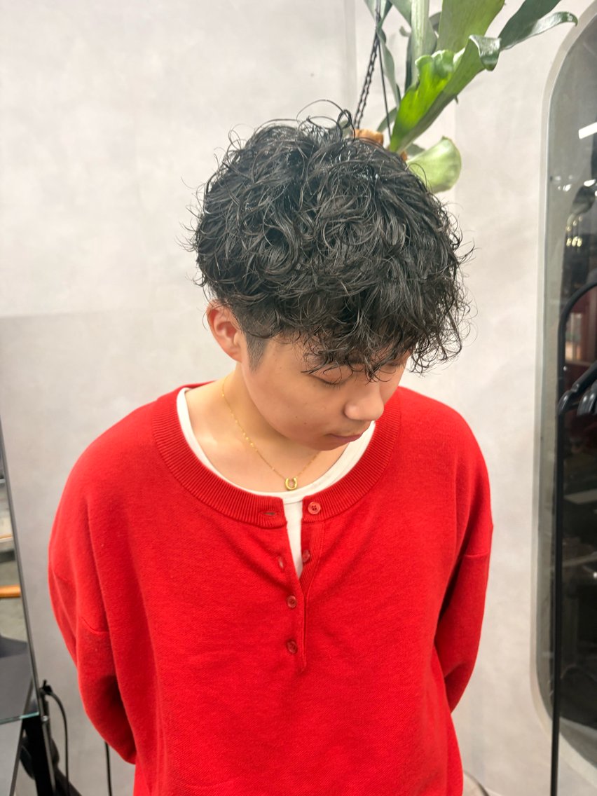 パーマ メンズ メンズパーマ スペインカール LIV My【マイ】 艶カラー/髪質改善のヘアスタイル