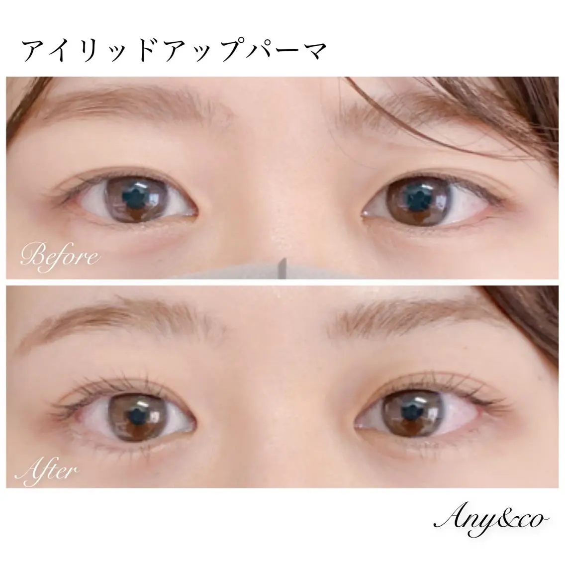 マツエク・マツパ アイリッドアップパーマ Any&co 【エニコ】のマツエク・マツパデザイン