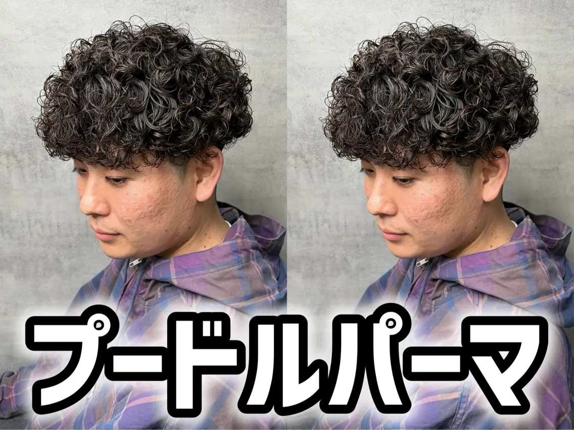 パーマ メンズ メンズパーマ プードルパーマ プードルパーマ カット パーマ メンズカット/ パーマ特化のヘアスタイル