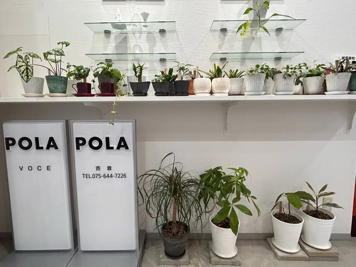 メンズ POLA 梧桐　杏子のエステ・リラクイメージ