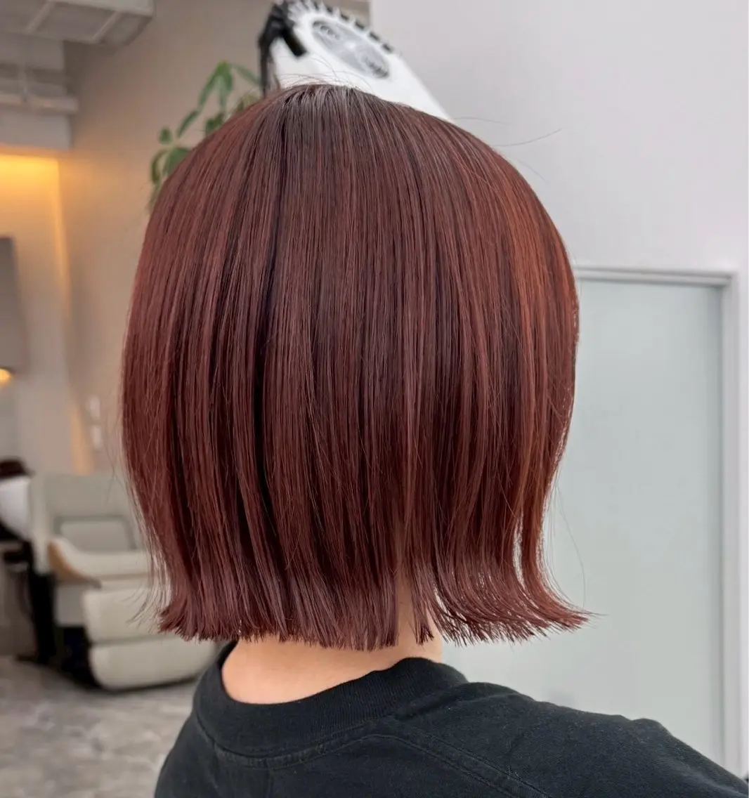 ショート カラー 🫧ミディアムカット 韓国透明感カラー🫧のヘアスタイル
