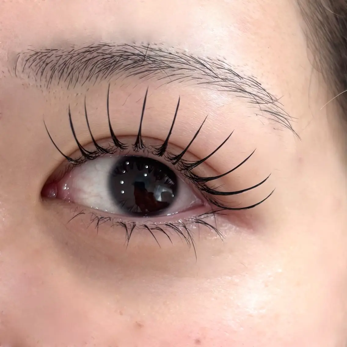 マツエク・マツパ フラットラッシュ マツエク eyelash mimi🩶のマツエク・マツパデザイン