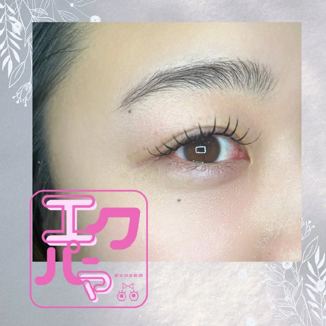 エクパーマモデル(フラット120本)の写真