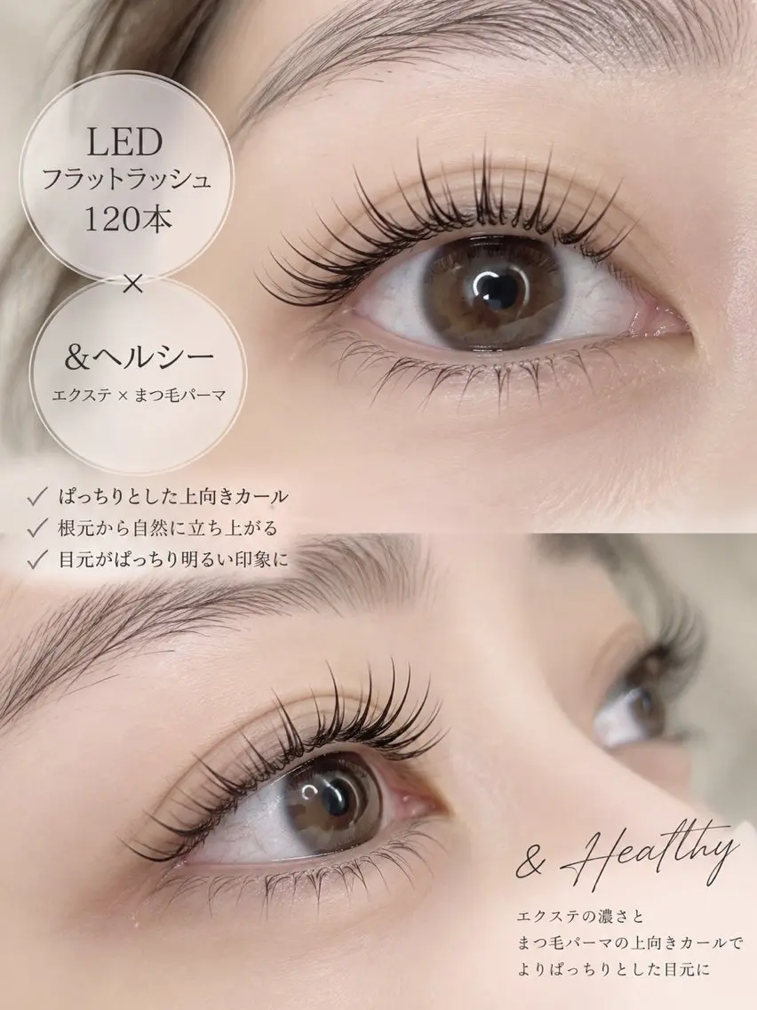 当日限定♡ミニモ限定価格♡＆ヘルシー120本の写真