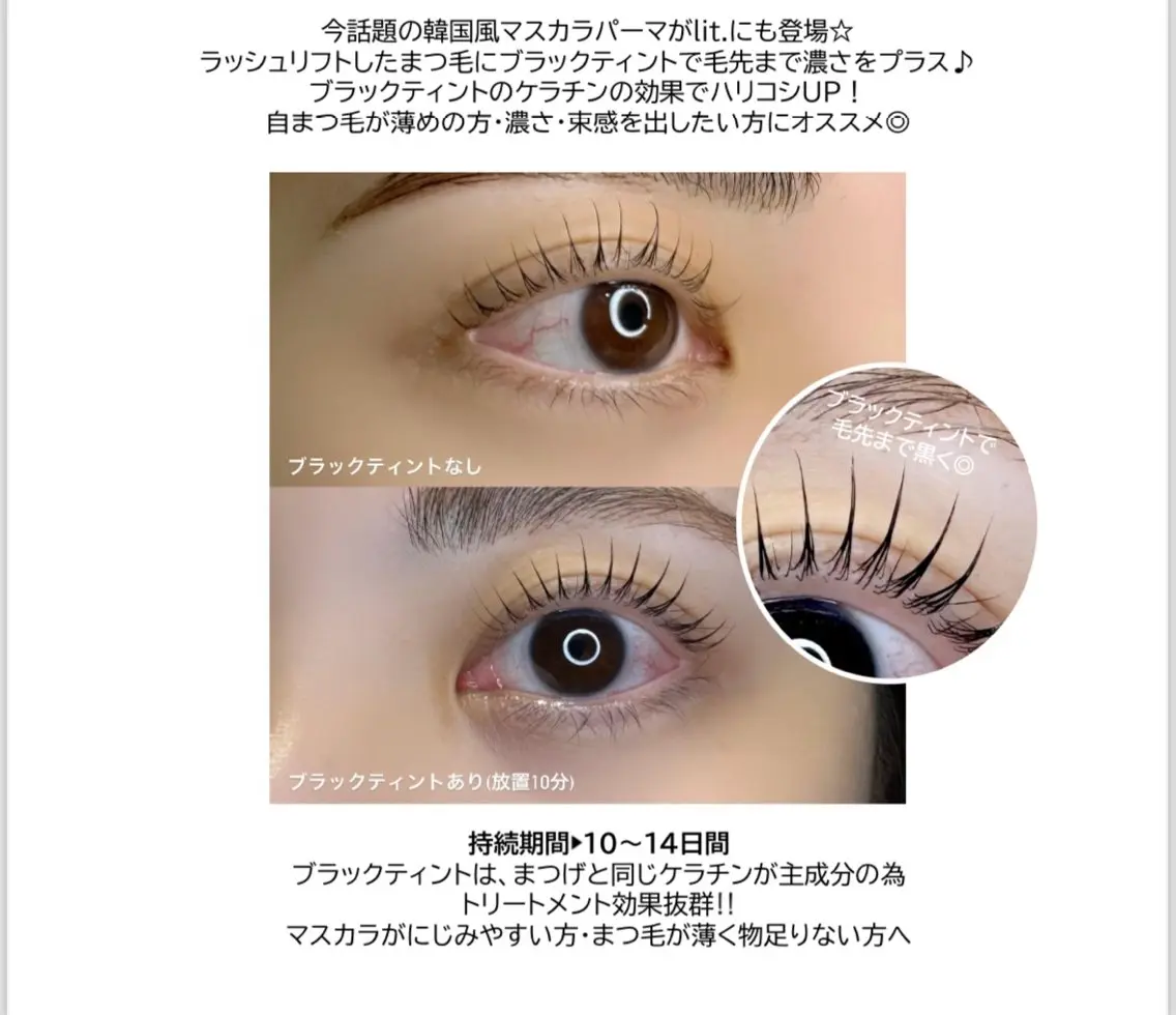 束感ラッシュリフト＋ブラックティント（マスカラパーマ）の写真