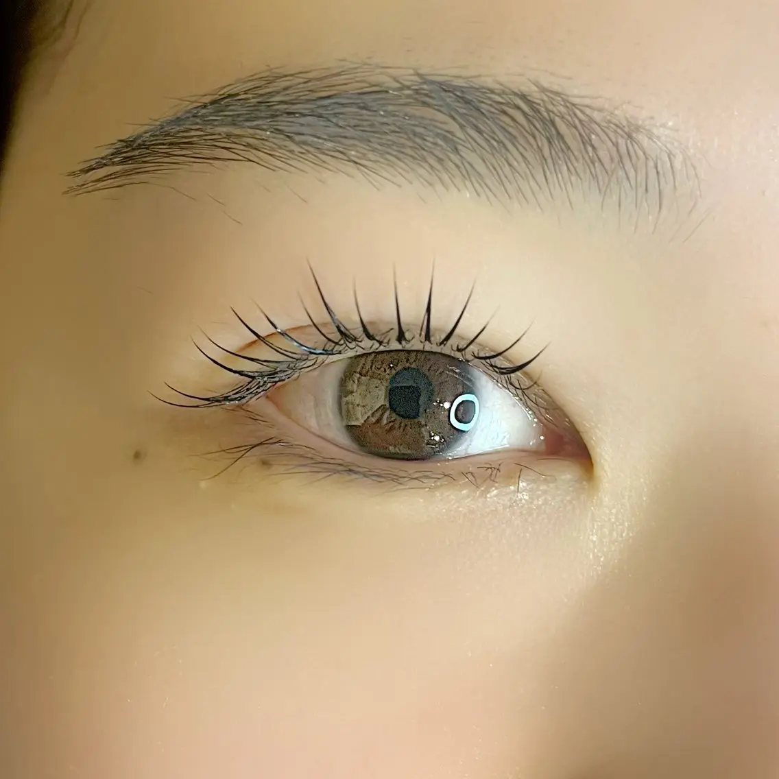 マツエク・マツパ マツパ 🌼Rejou eyelashのマツエク・マツパデザイン