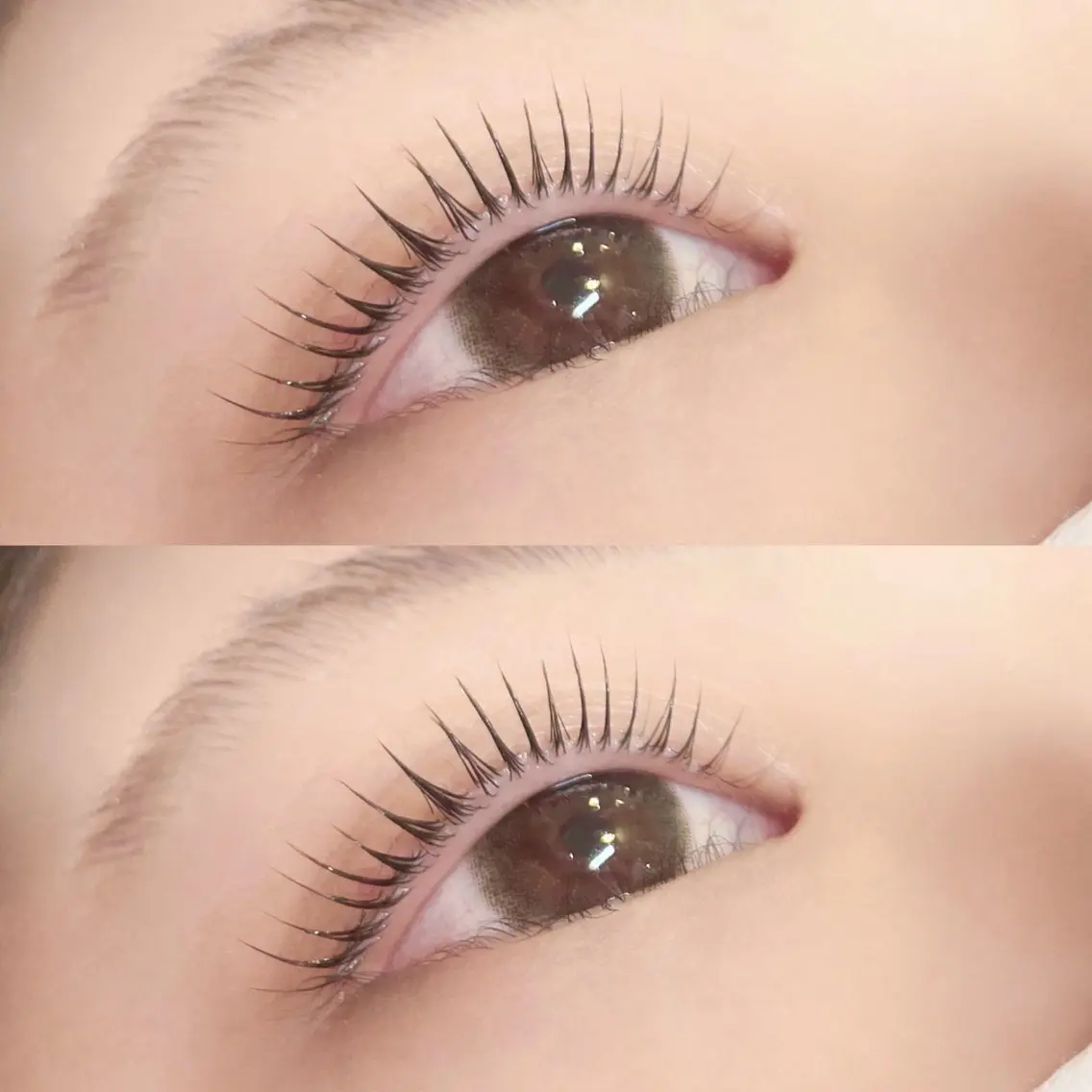 マツエク・マツパ マツパ Pupu lash ‪ ꪔ̤のマツエク・マツパデザイン