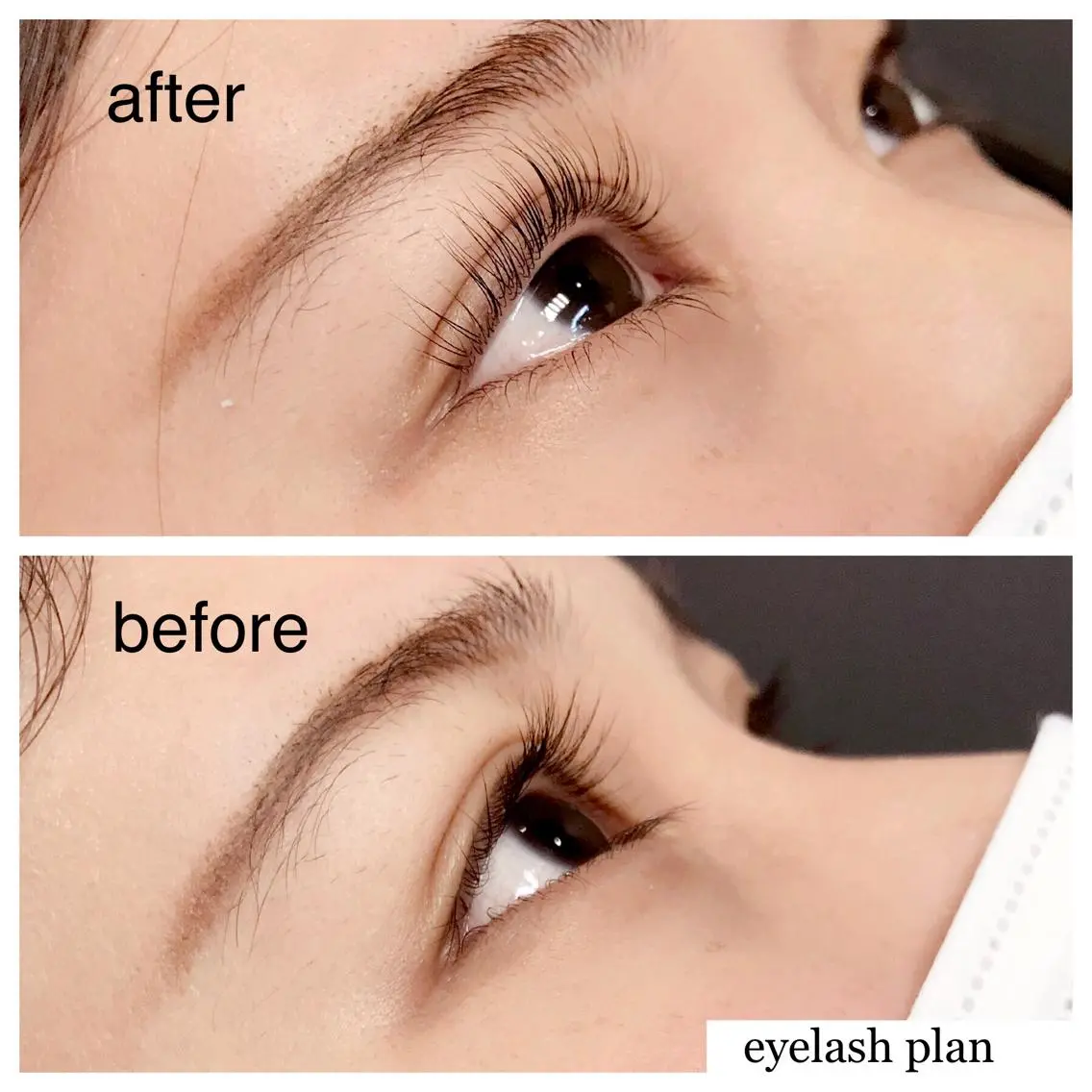 マツエク・マツパ 《eyelash ｉｉｔｅ》森のマツエク・マツパデザイン