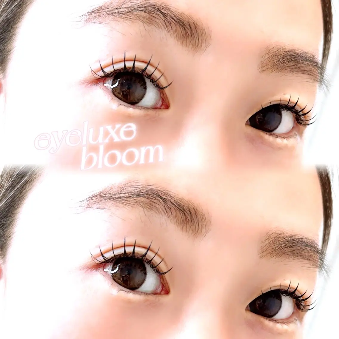 マツエク・マツパ eyeluxe bloom KANGのマツエク・マツパデザイン