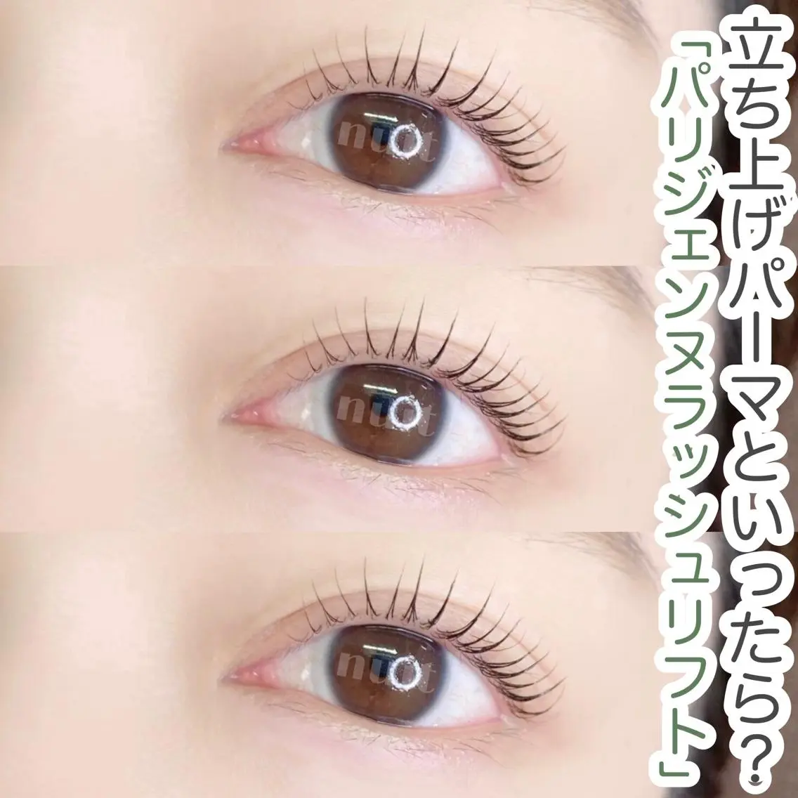 マツエク・マツパ パリジェンヌラッシュリフト nuit 【ニュイ】 大宮 / yucaのマツエク・マツパデザイン