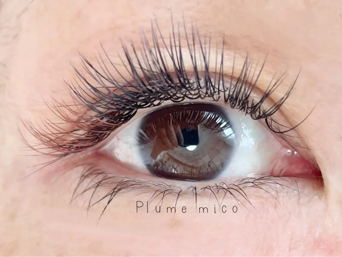 マツエク・マツパ マツエク Plume micoのマツエク・マツパデザイン