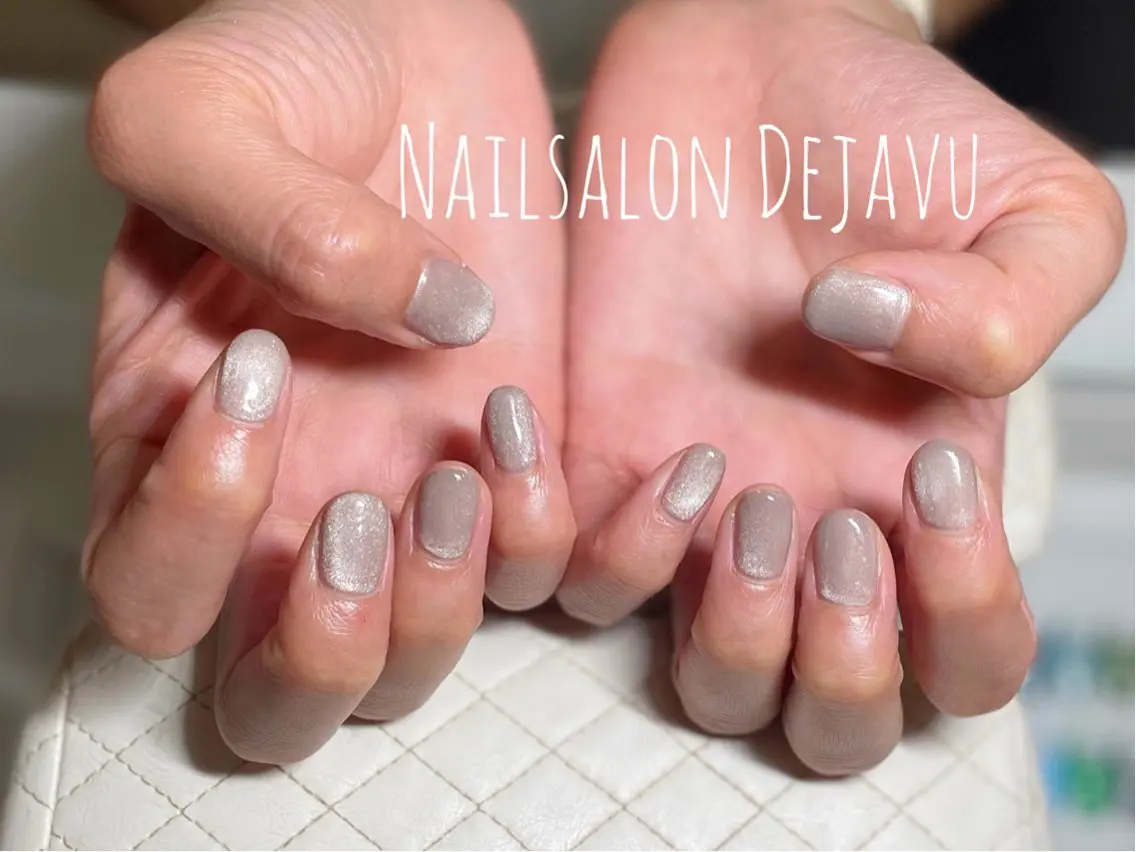 ネイル アートネイル マグネットネイル 冬ネイル Nail salon Dejavu 🌿のネイルデザイン