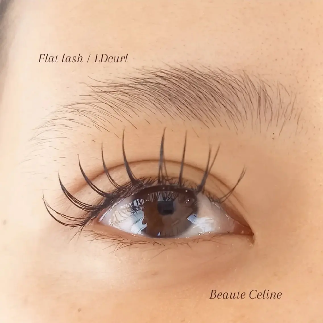 マツエク・マツパ 束感まつ毛 マツエク LED✨beaute Celine🌛🌹のマツエク・マツパデザイン