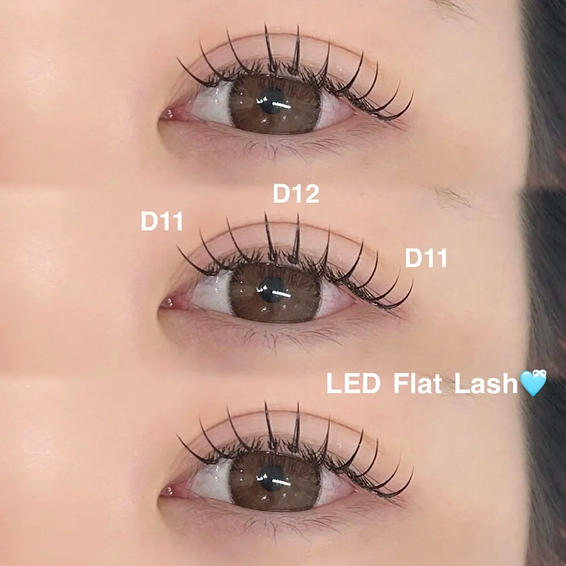 【29日限定】🌻LEDフラットラッシュ 120本+コーティング束感仕上げ🌻の写真
