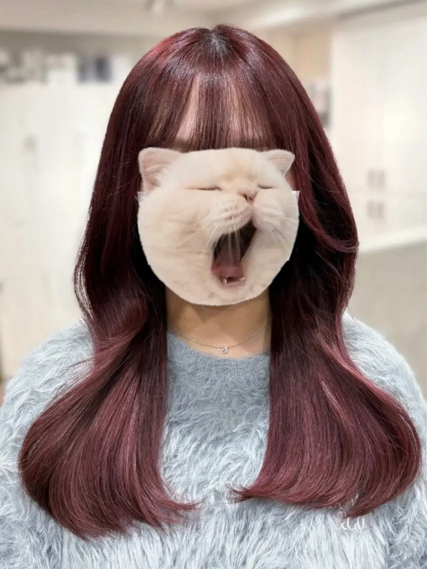 【💫ケアも明るくもしたい方💫】ブリーチなしダブルカラー+トリートメントの写真