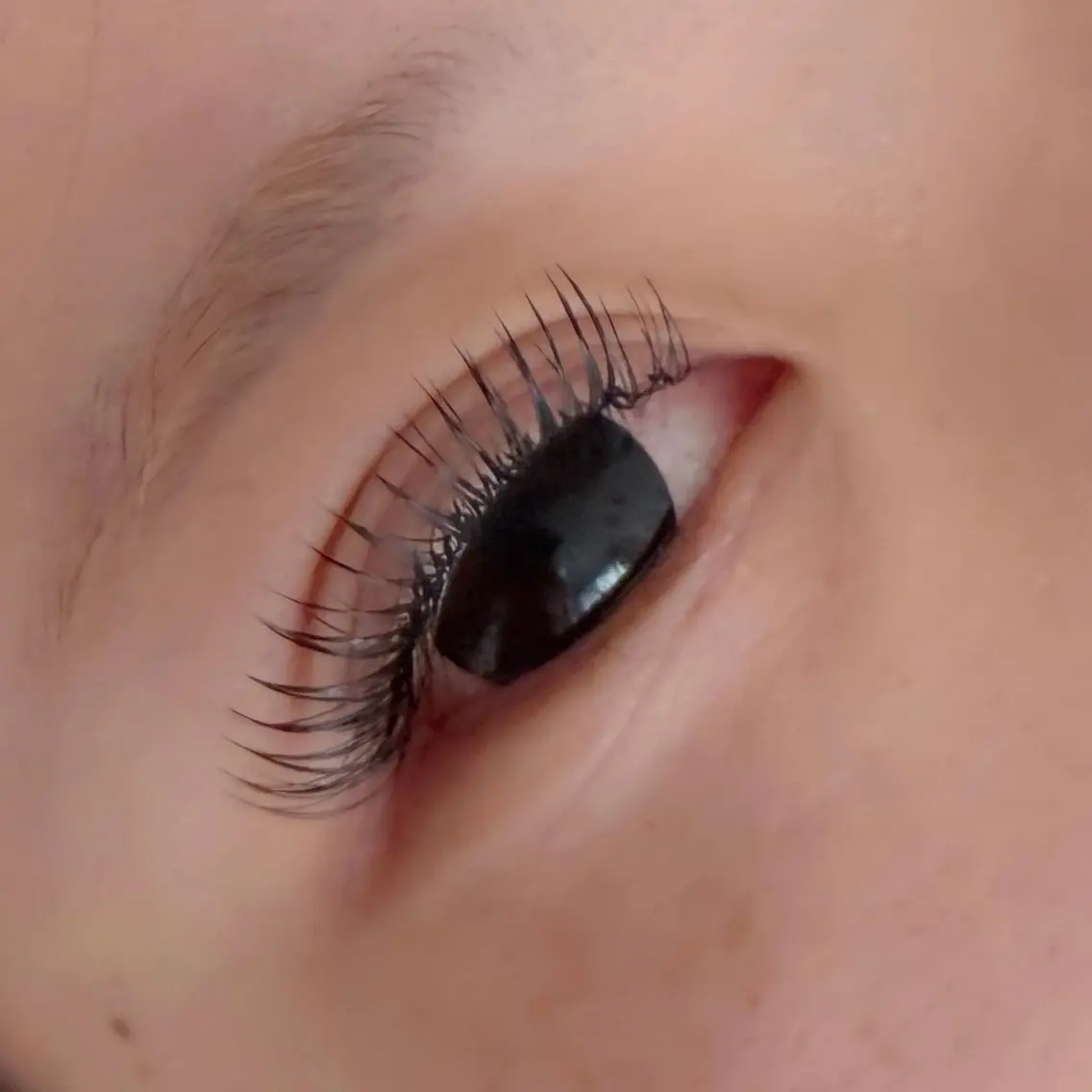 【バラつきにくい×高持続×ストレスフリー】デザインキープラッシュ 120束の写真
