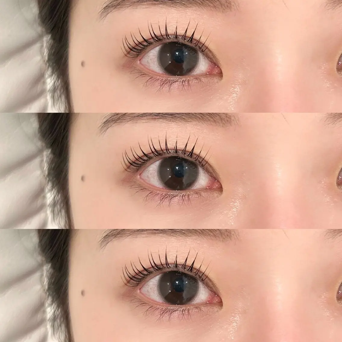 まつ毛パーマ👀🫧【ラッシュリフトorパリジェンヌ】の写真