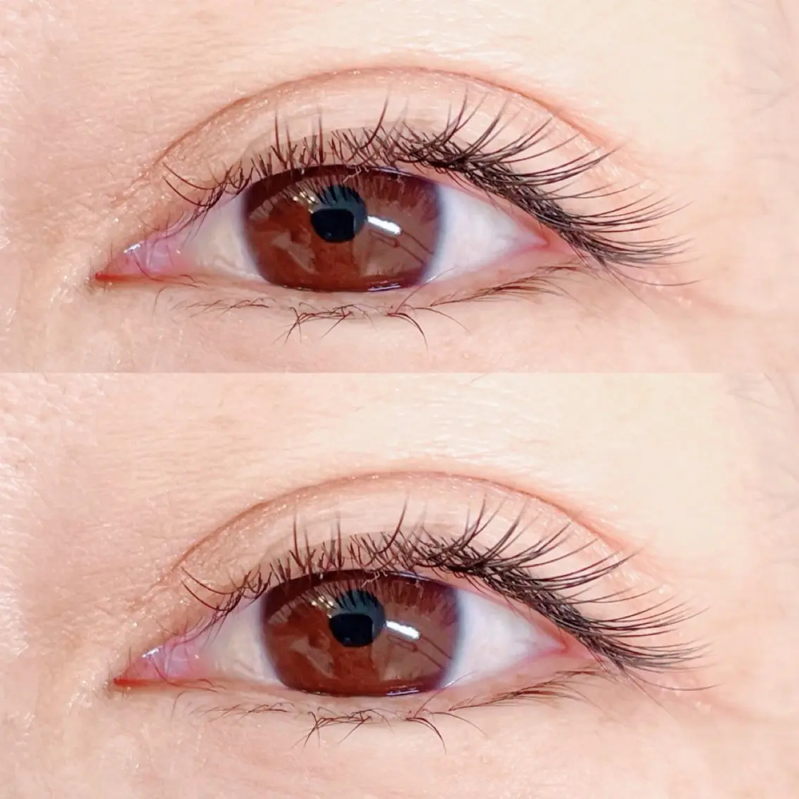 マツエク・マツパ stella eyelashのマツエク・マツパデザイン