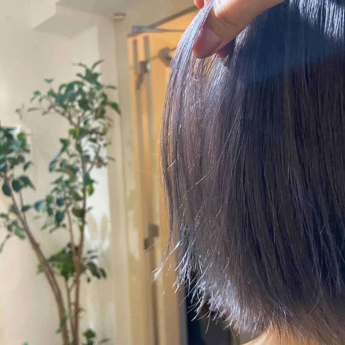 カラー アッシュ ダブルカラー ラベンダーカラー ラベンダーアッシュ SALTWATER AYARIのヘアスタイル