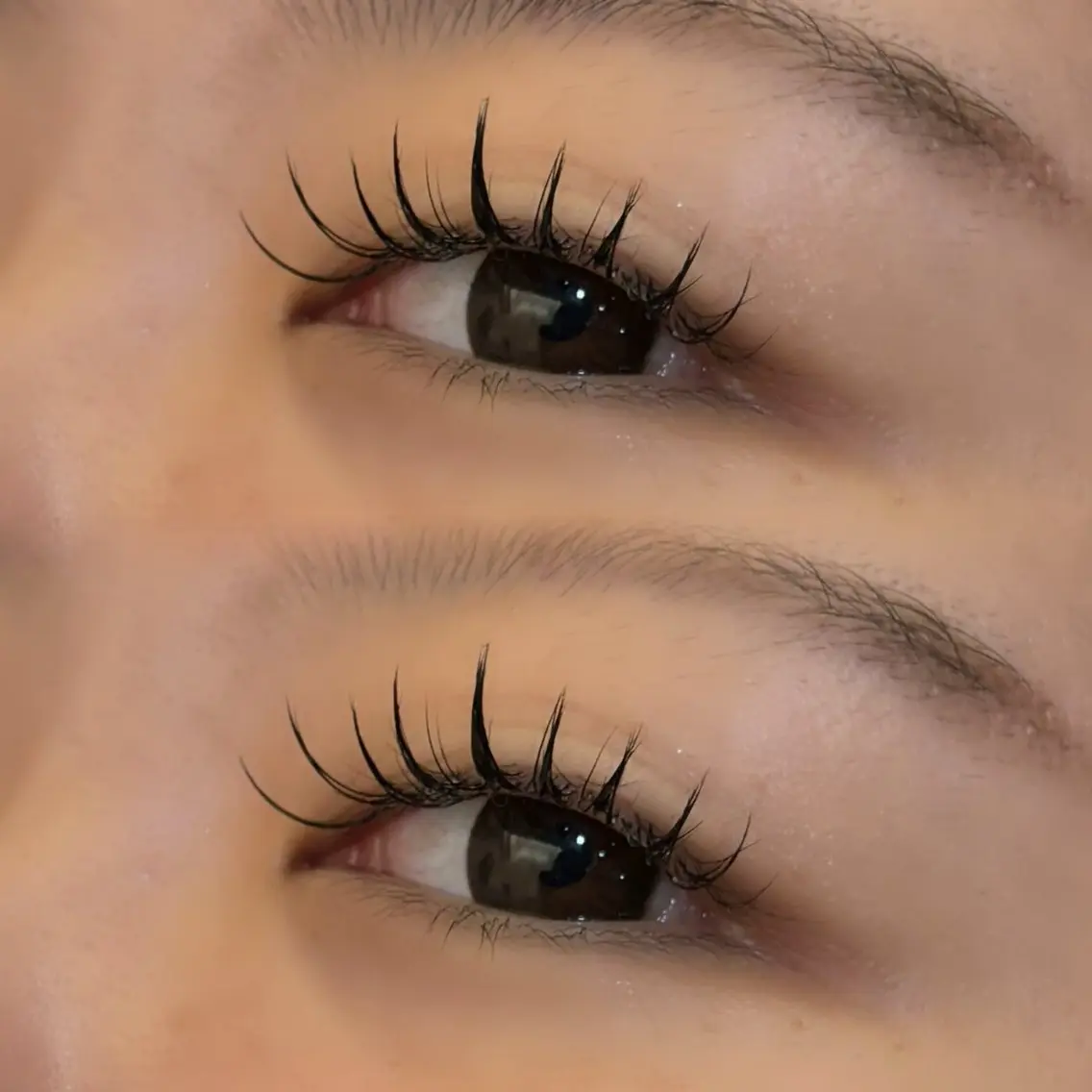 マツエク・マツパ カラーマツエク パリジェンヌラッシュリフト まつげパーマ 艶カラー♡/eye / mai🪐🪄のヘアスタイル