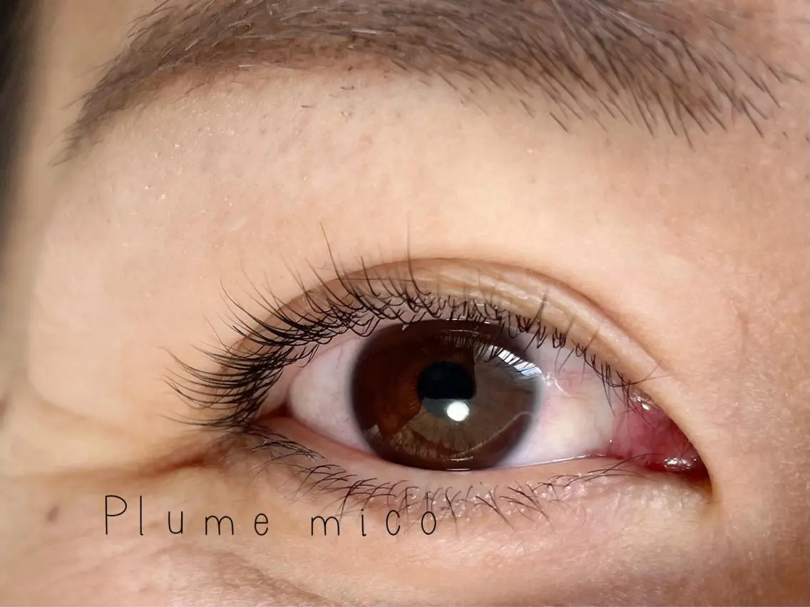 マツエク・マツパ パリジェンヌラッシュリフト マツパ Plume micoのマツエク・マツパデザイン