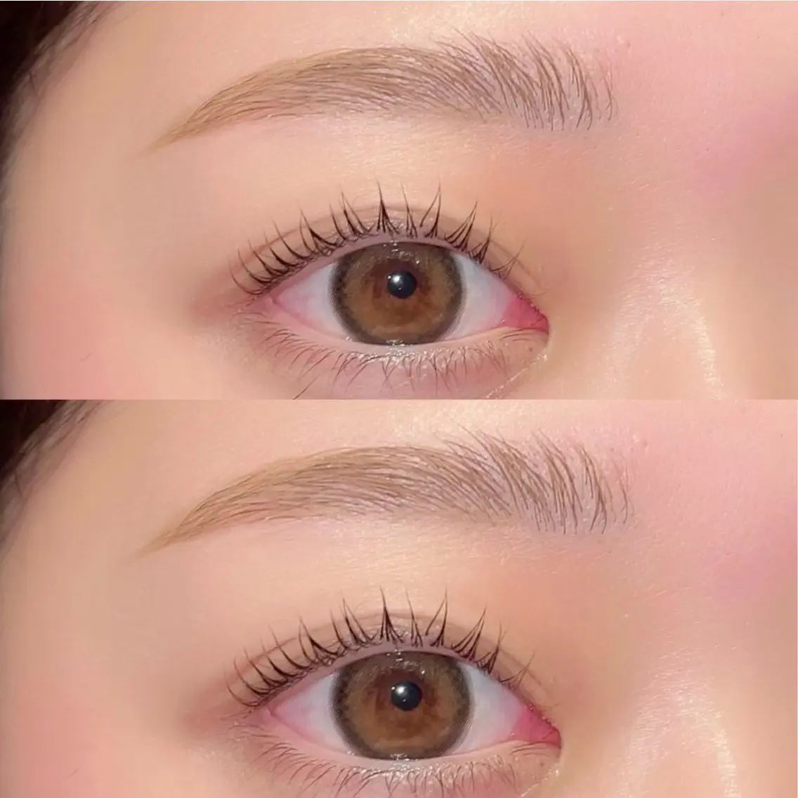 【パリジェンヌ or まつげパーマ】&【アイブロウ WAX】🫧眉クレンジング眉メイク付きの写真