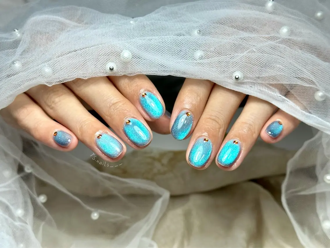 ネイル キラキラネイル マグネットネイル 持ち込み シンプルネイル ハンドネイル ハンドケア TS. nails___のネイルデザイン