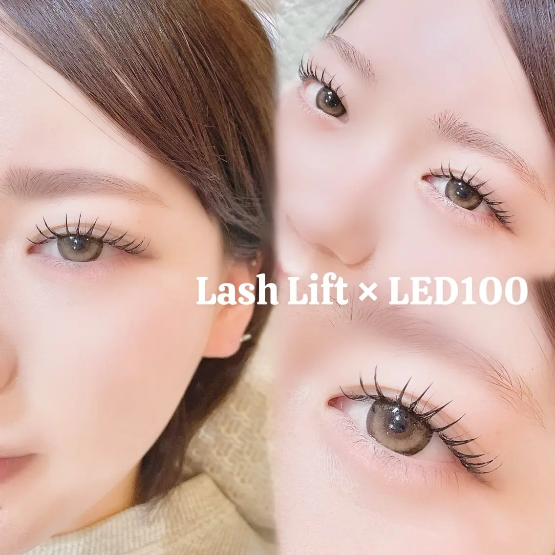 パリエク🎀LED100本の写真