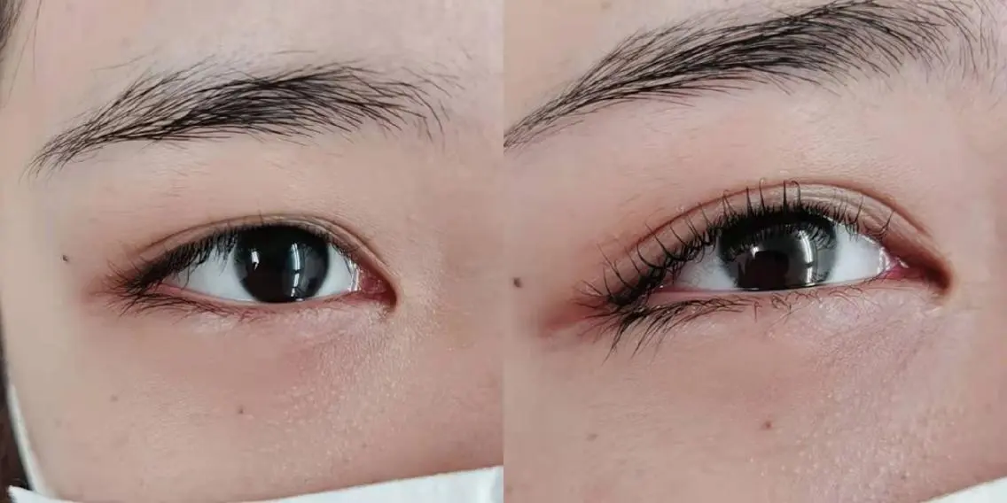 マツエク・マツパ まつげパーマ 胡蝶蘭レディースサロ ン眉マツパエクステの眉毛・アイブロウイメージ