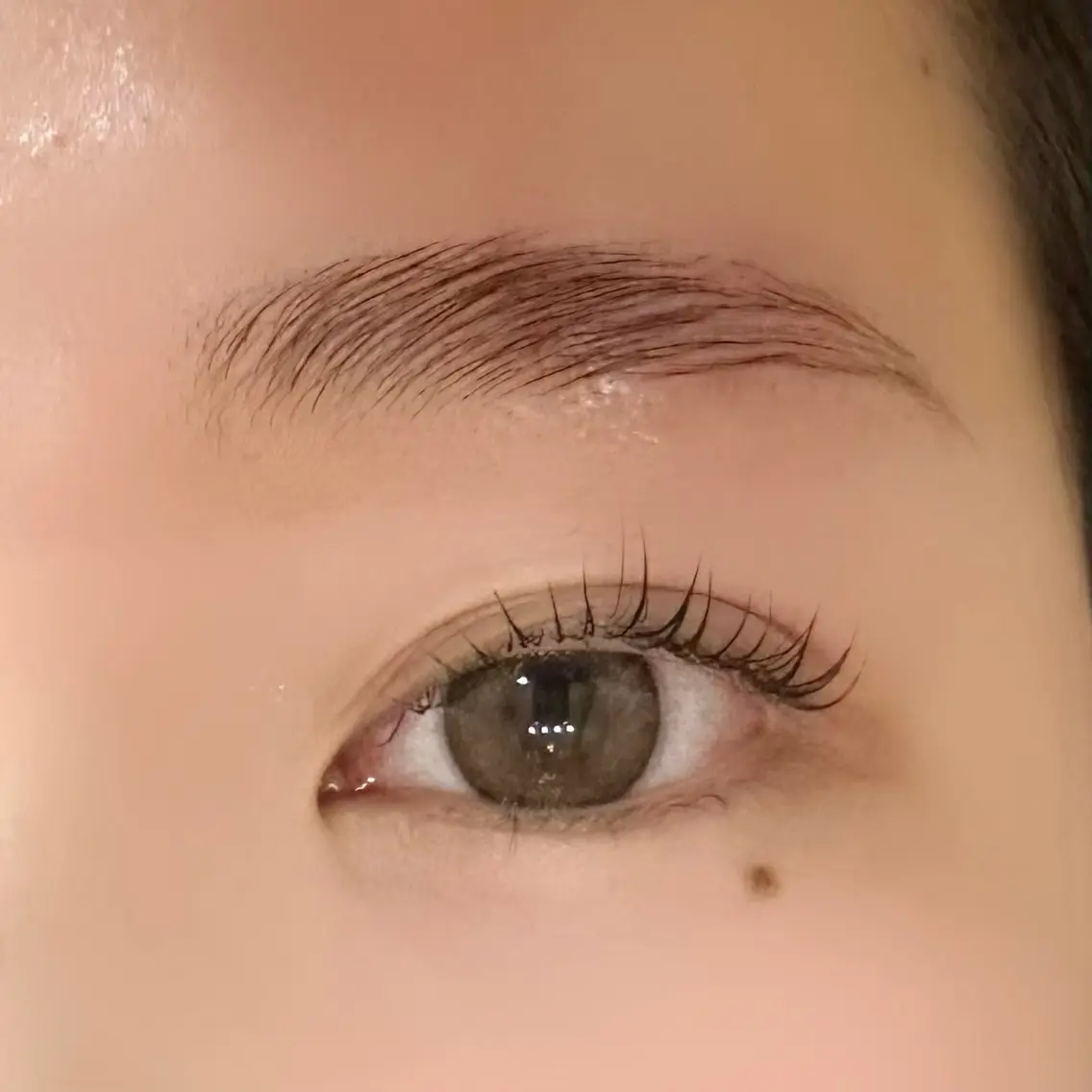 【次世代まつパ&眉パ】まつ毛パーマ(上)と眉パーマのセット🌼の写真