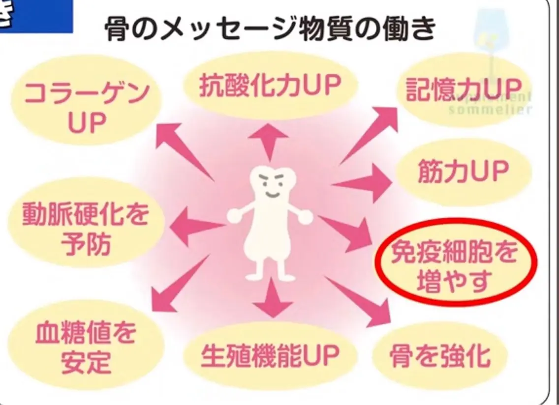 カイロサロン ひまわりのエステ・リラクイメージ