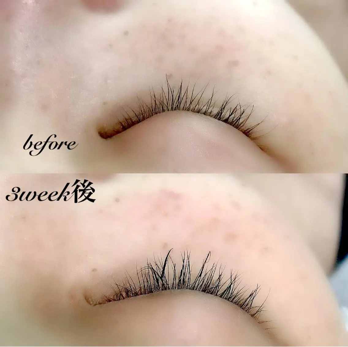 マツエク・マツパ ケラチンラッシュリフト バインドロック Cカール キュート フラットラッシュ その他(アイブロウ) eyelash presh yukaのマツエク・マツパデザイン