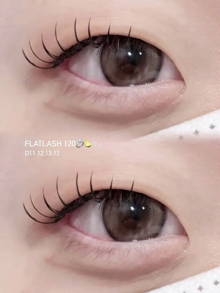 [新規] オフ込み フラットラッシュ120本の写真