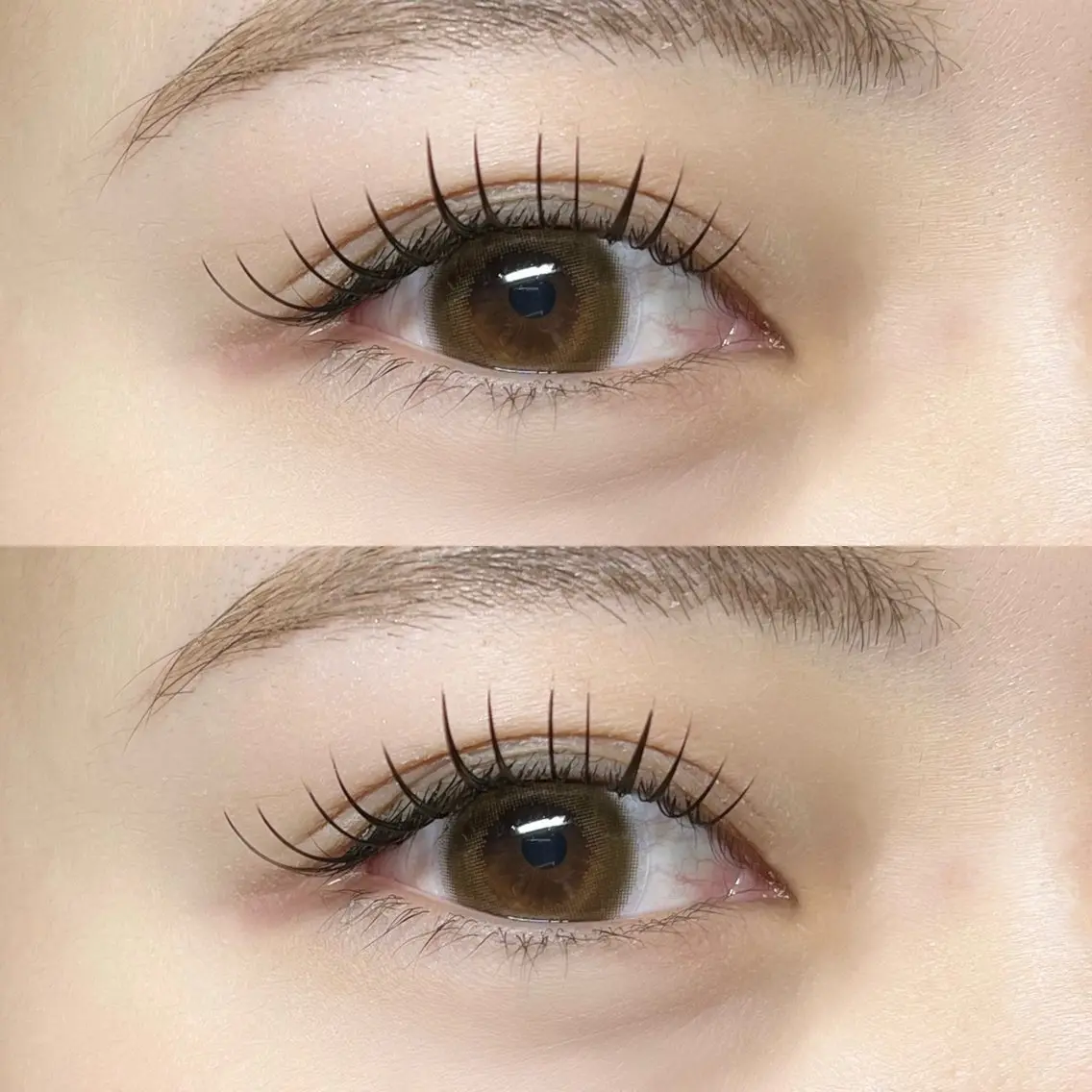 💜フラットラッシュ【80本】の写真