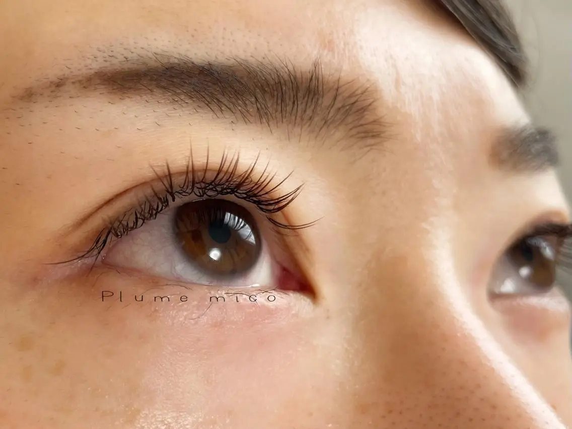 マツエク・マツパ マツエク Plume micoのマツエク・マツパデザイン