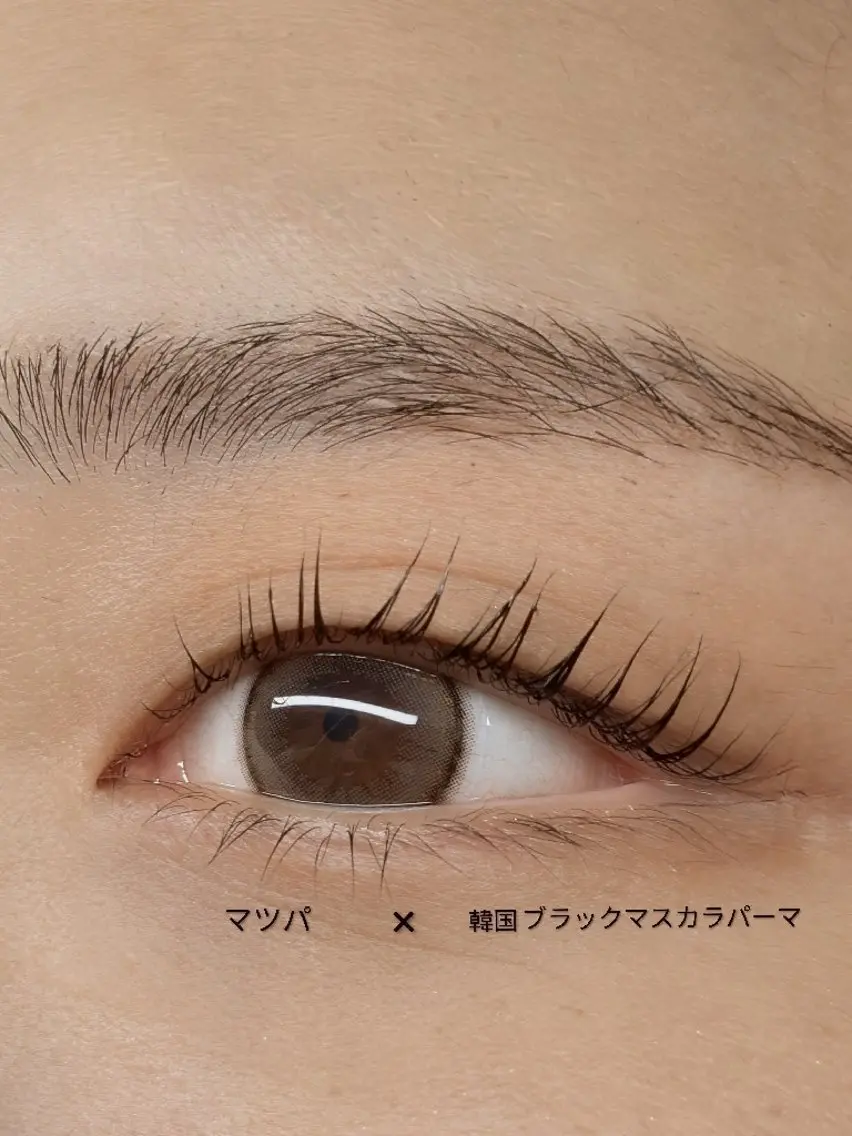 マツエク・マツパ 韓国風マツエク まつげパーマ マツパ Sun Brown Ryu-gaのマツエク・マツパデザイン