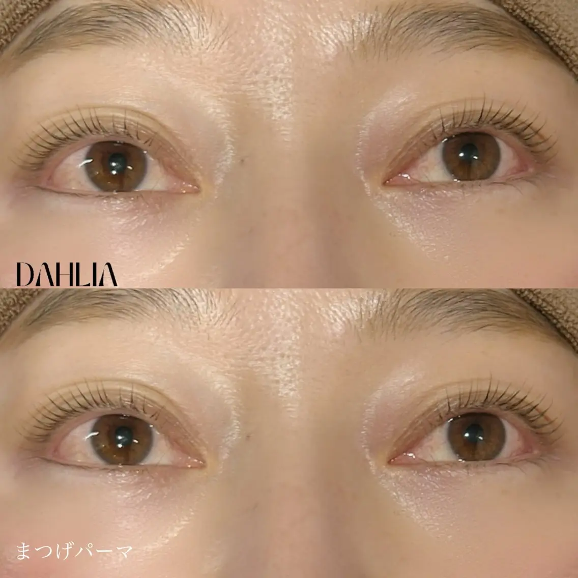 マツエク・マツパ まつげパーマ Dahliaダリア 斉藤のマツエク・マツパデザイン