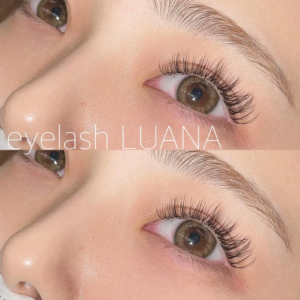 フラットラッシュ120本💐の写真
