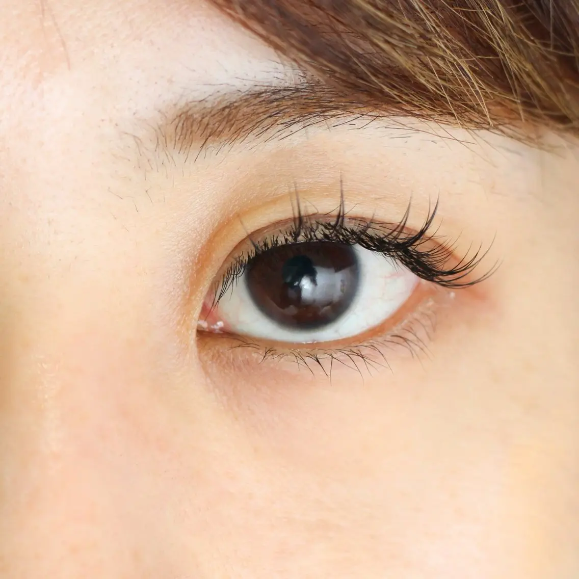 マツエク・マツパ Cカール セーブル ワンホンマツエク Eyelash Mariaのマツエク・マツパデザイン