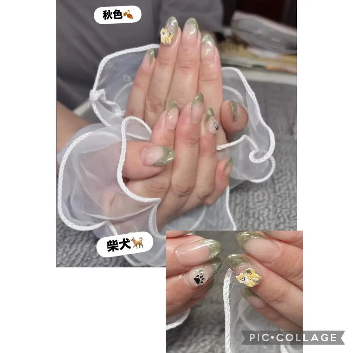 ネイル アートネイル クリアネイル マグネットネイル ぷっくりネイル Asemota Shihoのネイルデザイン
