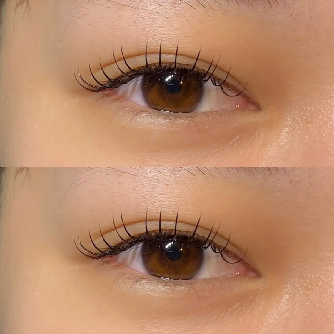 フラットラッシュ80~100本 🌟コーティング付き✨の写真